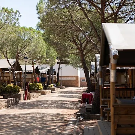 Kamp alanı Internacional Palamós