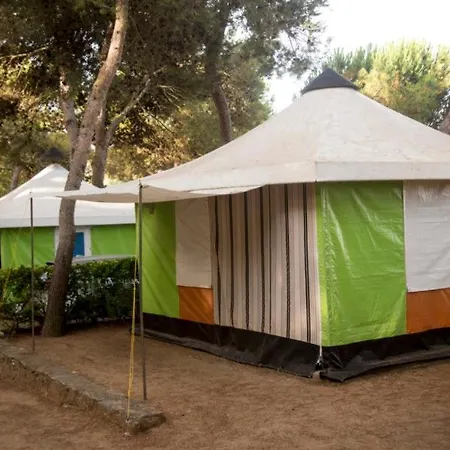 Кемпинг Internacional