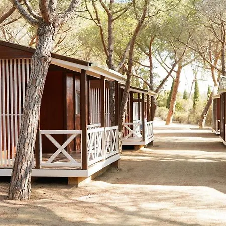 Camping Internacional
