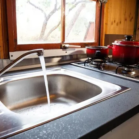 Internacional Campeggio *