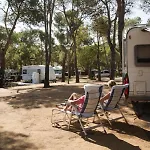 Internacional Campsite Palamos