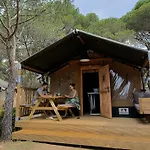 Internacional * Palamos